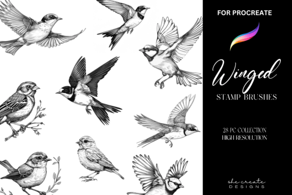 Procreate Bird Brush Stamps for Digital Art