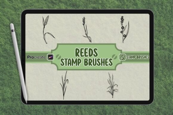 Unleash Your Creativity with the Reeds Brush Stamp Set for Procreate: Bringing the Wild to Digital Art
